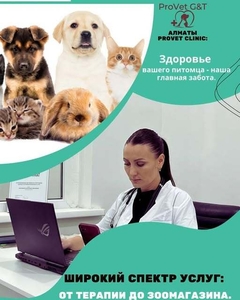 ProVet Clinic в Алматы: Все для здоровья вашего питомца! #1748144