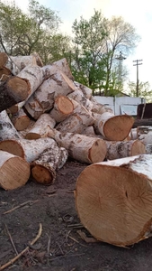 Продаём дрова в мешках  #1748893