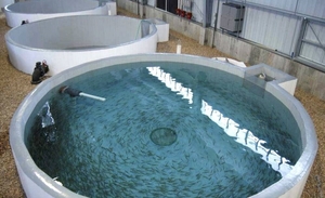 Поменяю емкости из полимер-композитов на СпецТехнику #1749879