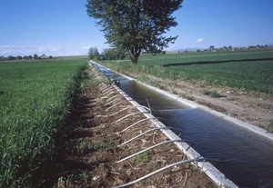 Изготовим лотки для полива #1749882