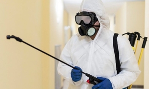 Дезинфекция ,  Устранение всех насекомых #1749950