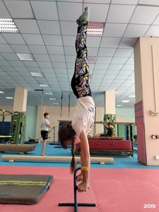 ГИМНАСТИКА ДЛЯ МАЛЬЧИКОВ И ДЕВОЧЕК ОТ 3 ЛЕТ И СТАРШЕ #1750897