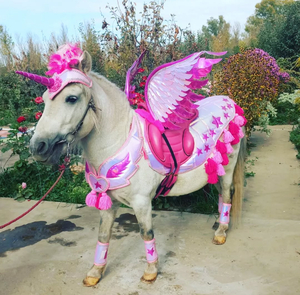 Аренда кареты ,  пони,  лошадей  #1750543