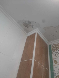 Удаление пятен на потолке 100% гарантия #1751900