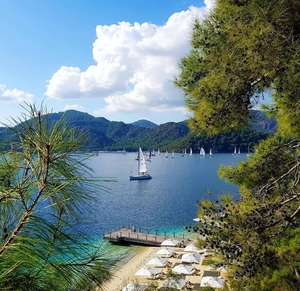 ADL Invest: недвижимость в Турции — быстро,  надёжно,  под ключ #1752254