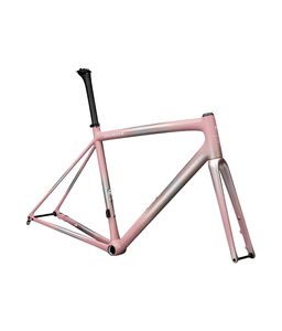 2025 Specialized Aethos Frameset (ALANBIKESHOP) #1752242