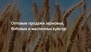 ООО Агропром - оптовая реализация продуктов питания экспорт #1752463