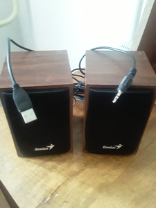 Продам компьютерные 2 звуковые колонки Genius .  В отличном состоянии  Ц. 5 000  #1753023