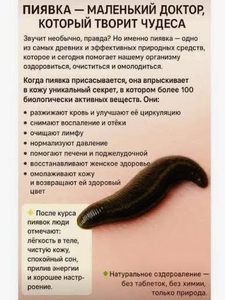 Нормализация давления: эффективная помощь пиявок #1754134