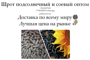 Шрот подсолнечный и соевый оптом от производителя ГК Юг Руси #1753984