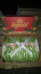 Свежий банан оптом. #715020